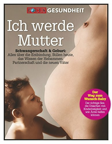 Ich werde Mutter: Schwangerschaft und Geburt: Alles über Entbindung, Stillen heute, das Wissen der Hebammen, Partnerschaft und die neuen Väter