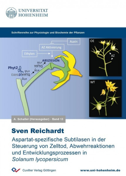 Aspartat-spezifische Subtilasen in der Steuerung von Zelltod, Abwehrreaktionen und Entwicklungsprozessen in Solanum lycopersicum