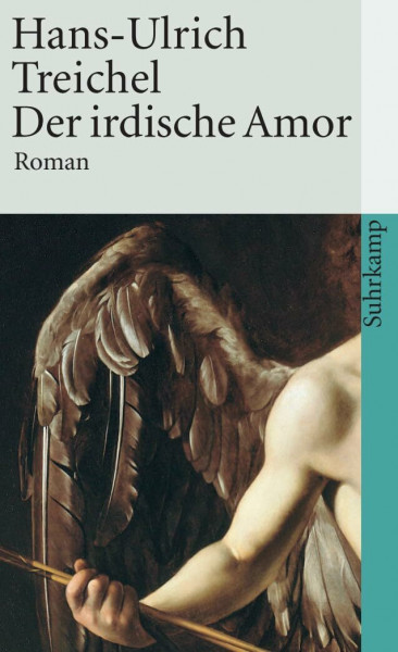Der irdische Amor: Roman (suhrkamp taschenbuch)