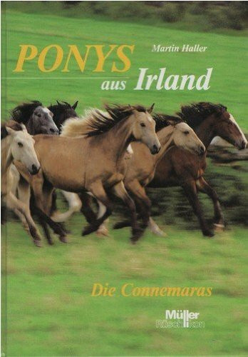 Ponys aus Irland: Die Connemaras