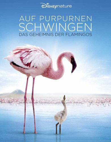 Auf purpurnen Schwingen: Das Geheimnis der Flamingos