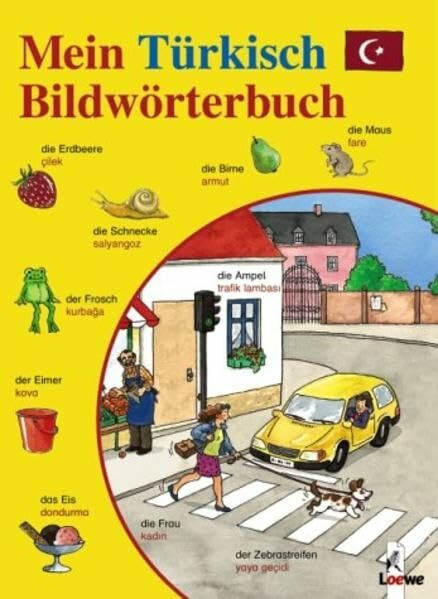 Mein Türkisch-Bildwörterbuch: Rund 800 Begriffe