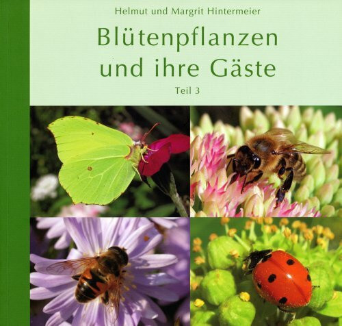 Blütenpflanzen und ihre Gäste - Teil 3