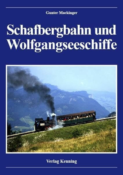 Schafbergbahn und Wolfgangseeschiffe