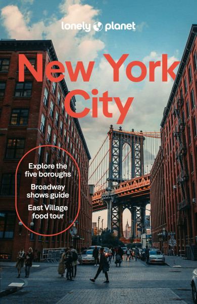 Lonely Planet New York City: Comprehensive Travel Guide | Detailed Itineraries & Maps | Insider Tips | Covers Lower Manhattan, SoHo, Chelsea, ... and more (Lonely Planet Travel Guide)