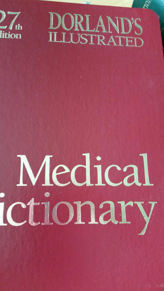 Dorland's Illustrated Medical Dictionary