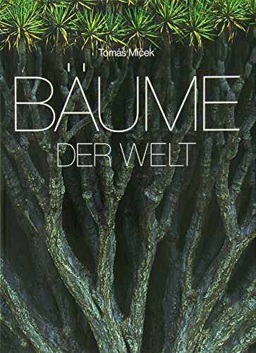 Bäume der Welt