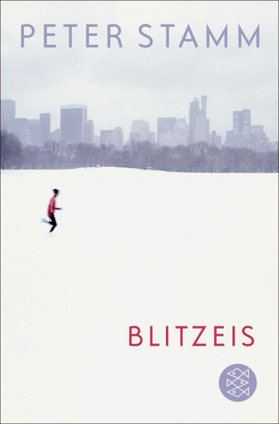 Blitzeis: Erzählungen