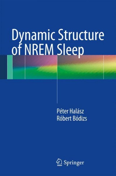 Dynamic Structure of NREM Sleep
