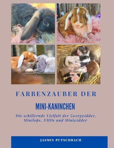 Farbenzauber der Mini-Kaninchen: Die schillernde Vielfalt der Zwergwidder, Minilops, NHDs und Miniwidder