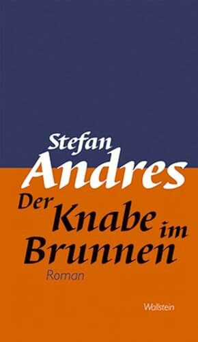 Der Knabe im Brunnen: Roman (Werke in Einzelausgaben)