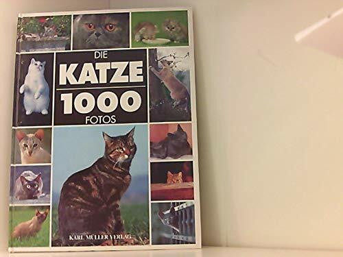 Die Katze. 1000 Fotos