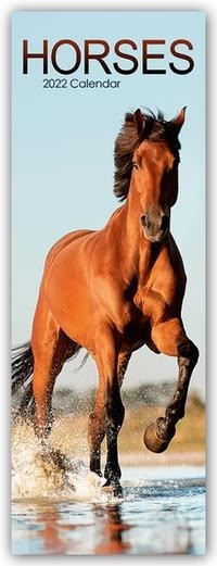 Horses - Pferde 2022