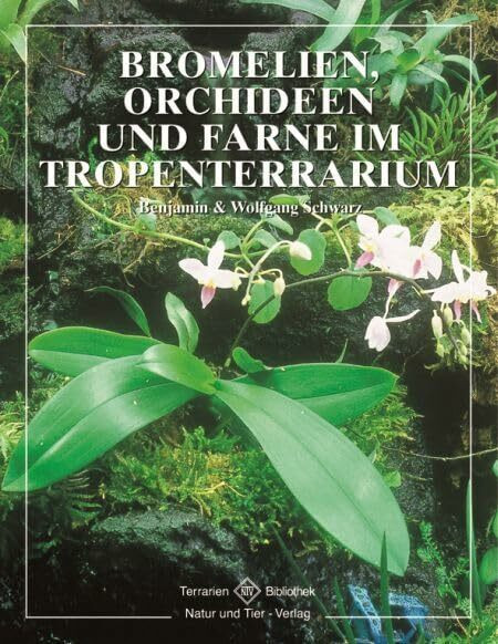 Bromelien, Orchideen und Farne im Tropenterrarium (Terrarien-Bibliothek)