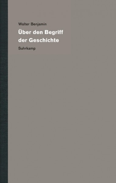 Werke und Nachlaß. Kritische Gesamtausgabe 19