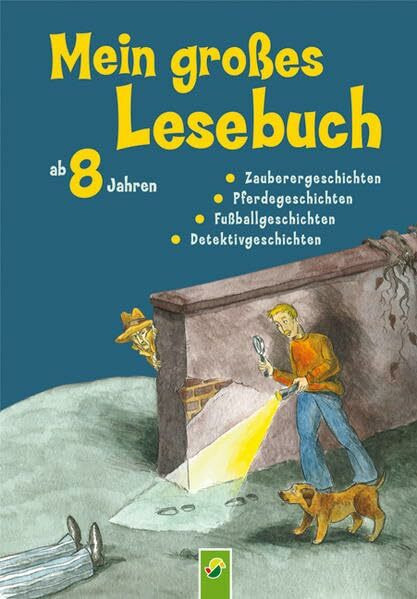 Mein großes Lesebuch ab 8 Jahren: Zaubergeschichten, Pferdegeschichten, Fußballgeschichten, Detektivgeschichten: Zauberergeschichten, Pferdegeschichten, Fußballgeschichten, Detektivgeschichten