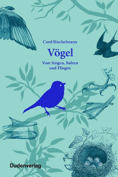 Vögel