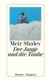 Der Junge und die Taube