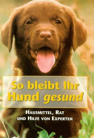 So bleibt Ihr Hund gesund