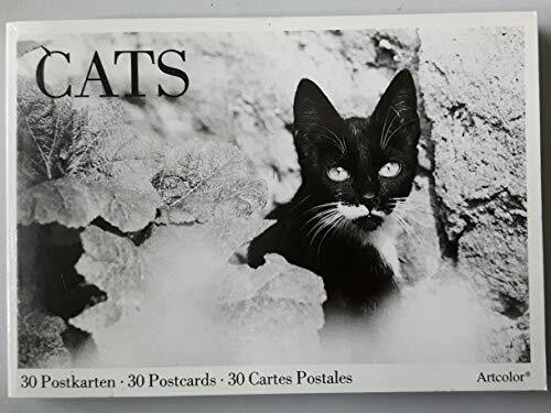 Cats: 30 Postkarten - 30 Postcards - 30 Cartes Postales