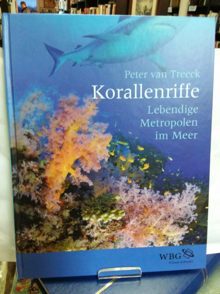 Korallenriffe: Lebendige Metropolen im Meer
