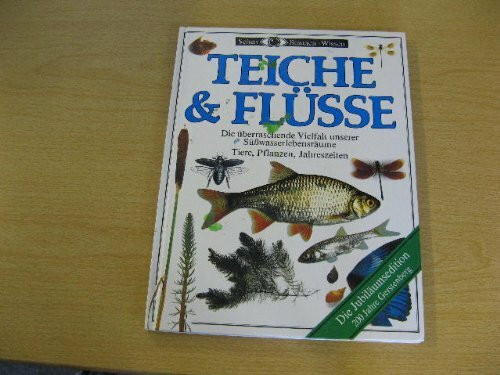 Teiche & Flüsse. Die überraschende Vielfalt unserer Süsswasserlebensräume. Tiere, Pflanzen, Jahreszeiten