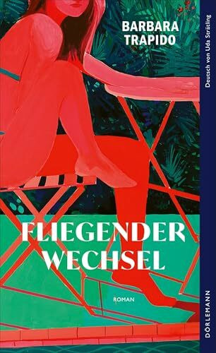 Fliegender Wechsel: Roman