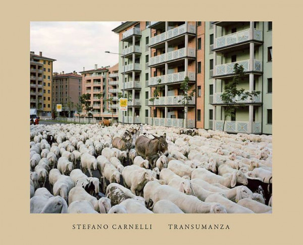 Transumanza: An Italian Pastoral