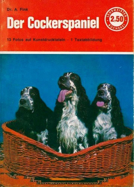 Der Cockerspaniel.