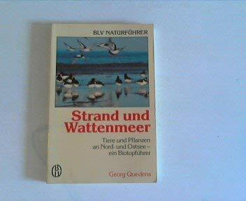 Strand und Wattenmeer. Tiere und Pflanzen an Nord- und Ostsee - ein Biotopführer