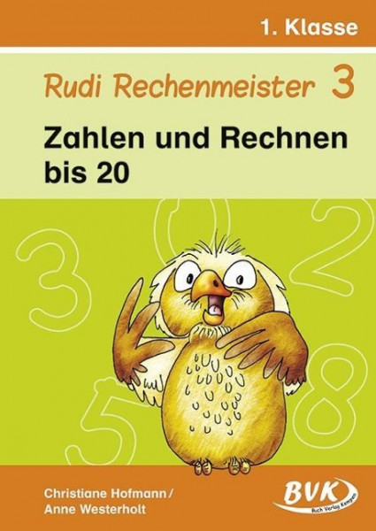 Rudi Rechenmeister, Band 3