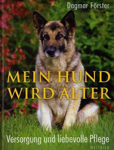 Mein Hund wird älter. Versorgung und liebevolle Pflege