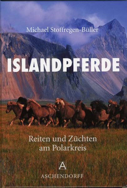 Islandpferde: Reiten und Züchten am Polarkreis