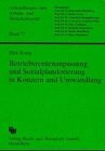 Betriebsrentenanpassung und Sozialplandotierung in Konzern und Umwandlung: Diss.
