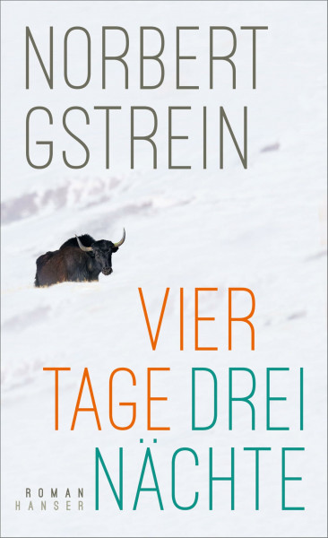 Vier Tage, drei Nächte: Roman