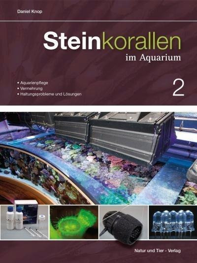 Steinkorallen im Aquarium 02