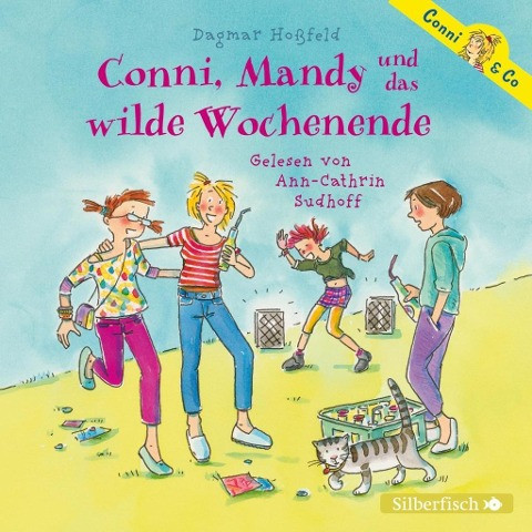 Conni & Co 13: Conni, Mandy und das wilde Wochenende