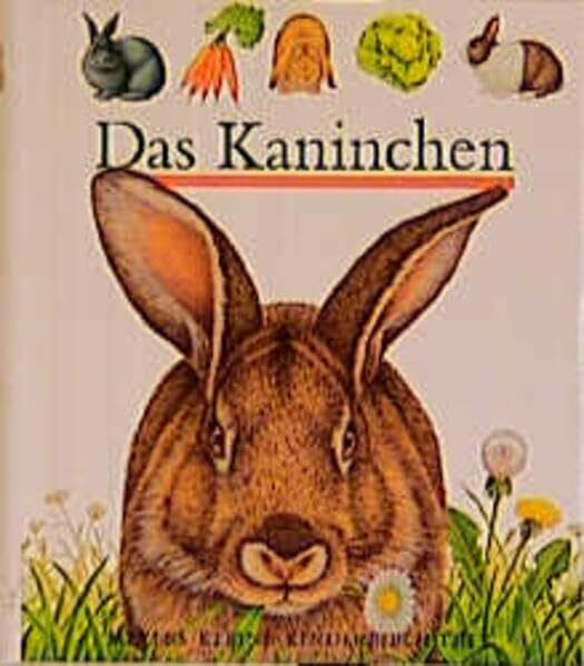 Das Kaninchen (Meyers kleine Kinderbibliothek)