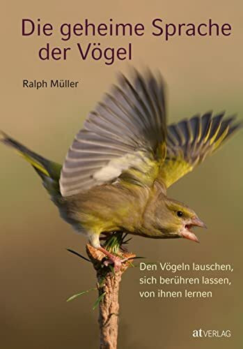 Die geheime Sprache der Vögel: Den Vögeln lauschen, sich berühren lassen, von ihnen lernen