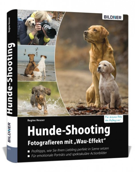 Hunde-Shooting - Fotografieren mit "Wau-Effekt"