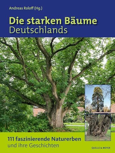 Die starken Bäume Deutschlands: 111 faszinierende Naturerben und ihre Geschichten