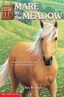 Mare in the Meadow (Animal Ark)