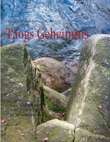 Taogs Geheimnis: Ein Abenteuer in mehr als vier Jahrtausenden