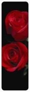 REAL-D Bookmark - Rosenblüten