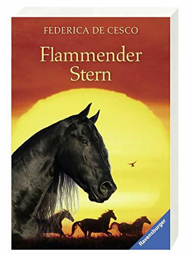 Flammender Stern (Ravensburger Taschenbücher)