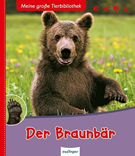 Meine große Tierbibliothek: Der Braunbär