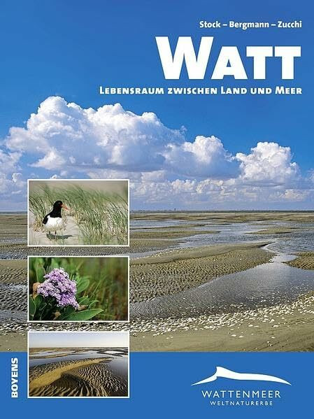 Watt: Lebensraum zwischen Land und Meer