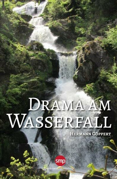 Drama am Wasserfall