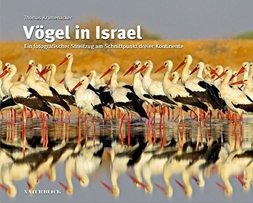 Vögel in Israel: Ein fotografischer Streifzug am Schnittpunkt dreier Kontinente