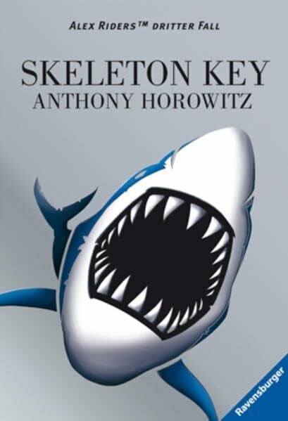 Skeleton Key (Alex Rider, Band 4)